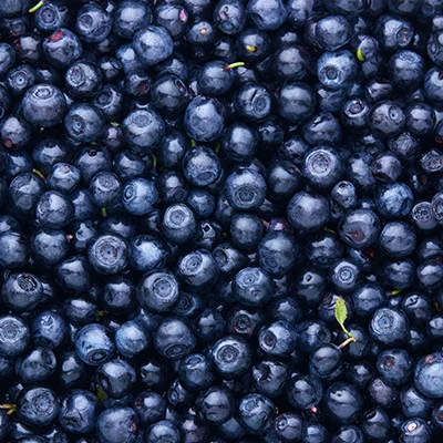 Blueberries