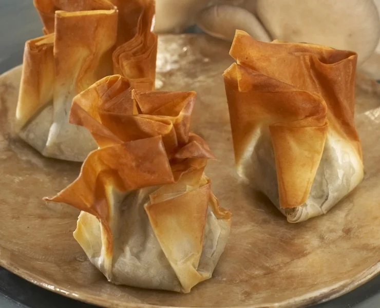 Mushroom Beggars Purse