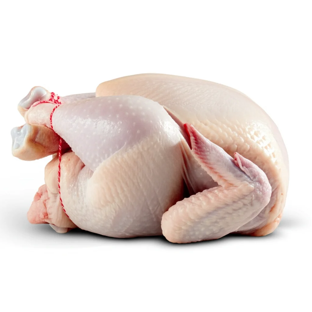 Raw Whole Tied Chicken