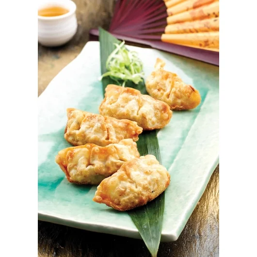 Vegetarian Potstickers