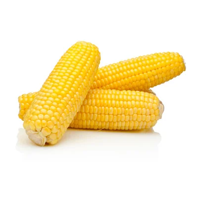 5.5" Corn On The Cob